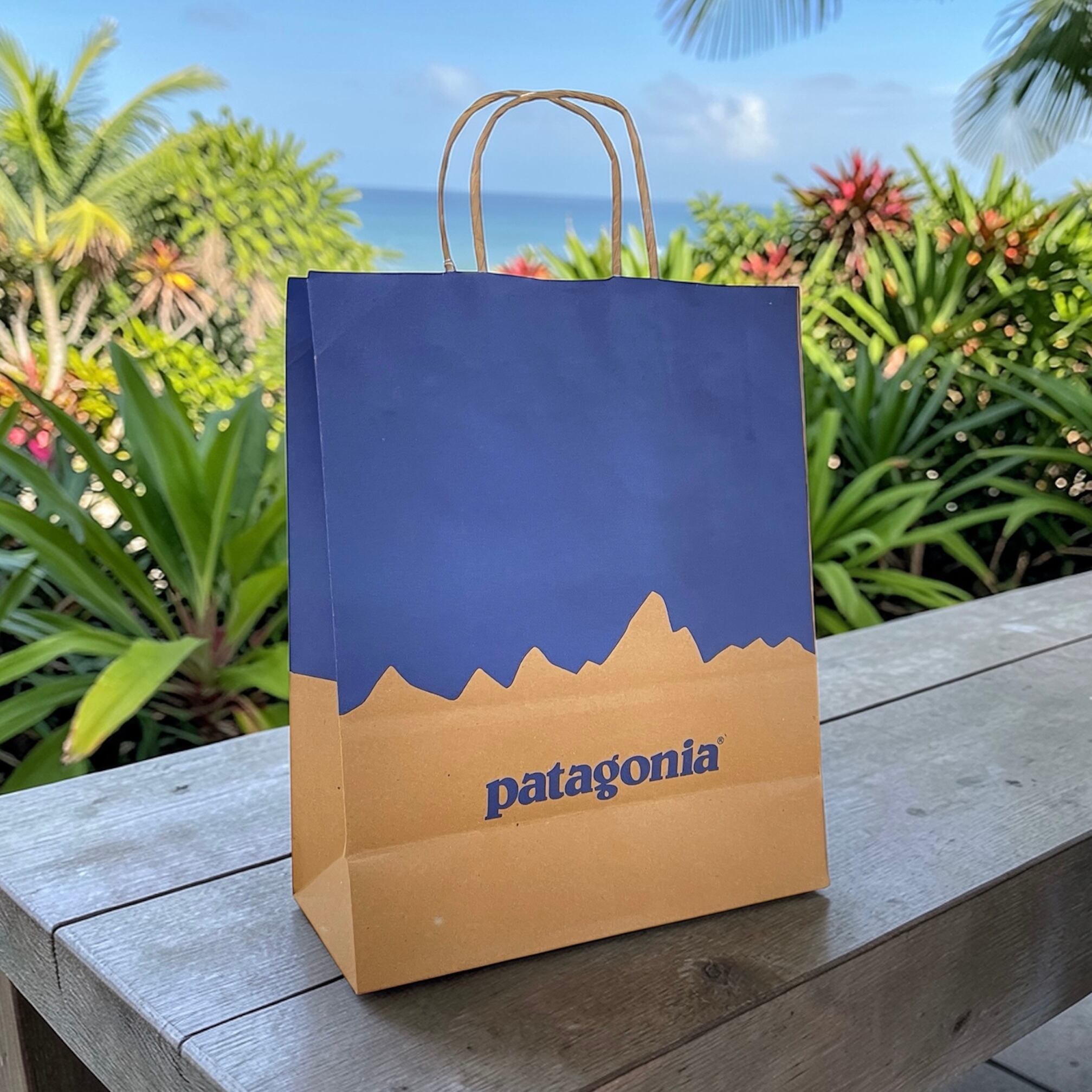 patagonia紙袋 18枚セット　ラッピング　包装　紙袋 Patagonia】 パタゴニア 紙袋 ショッパー ショッピングバッグ ペーパー