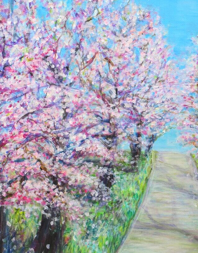 絵画 『桜道』 アクリル画 8号 桜 SAKURA 絵 春 花 自然 F8 KIYOKAWA
