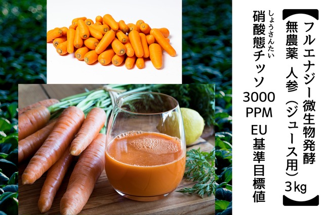 フルエナジー微生物発酵 無農薬 人参（ジュース用 3kg）（隔週発送、定期便）