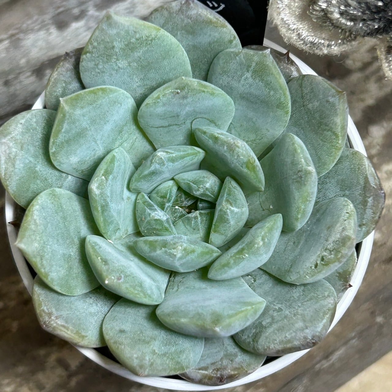 85ff7f4e5d267ca2d66ad5cf224598