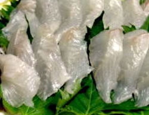 料理屋などに使われる高級魚の気仙沼産アイナメの新鮮生、淡白でいて脂がのって美味い（4人前）下ろして、刺身用として皮を引いて。