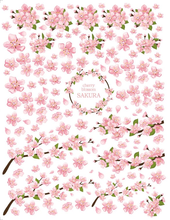 set割引】2枚セット SAKURA咲く・野に咲く花 （ポーセラーツ用