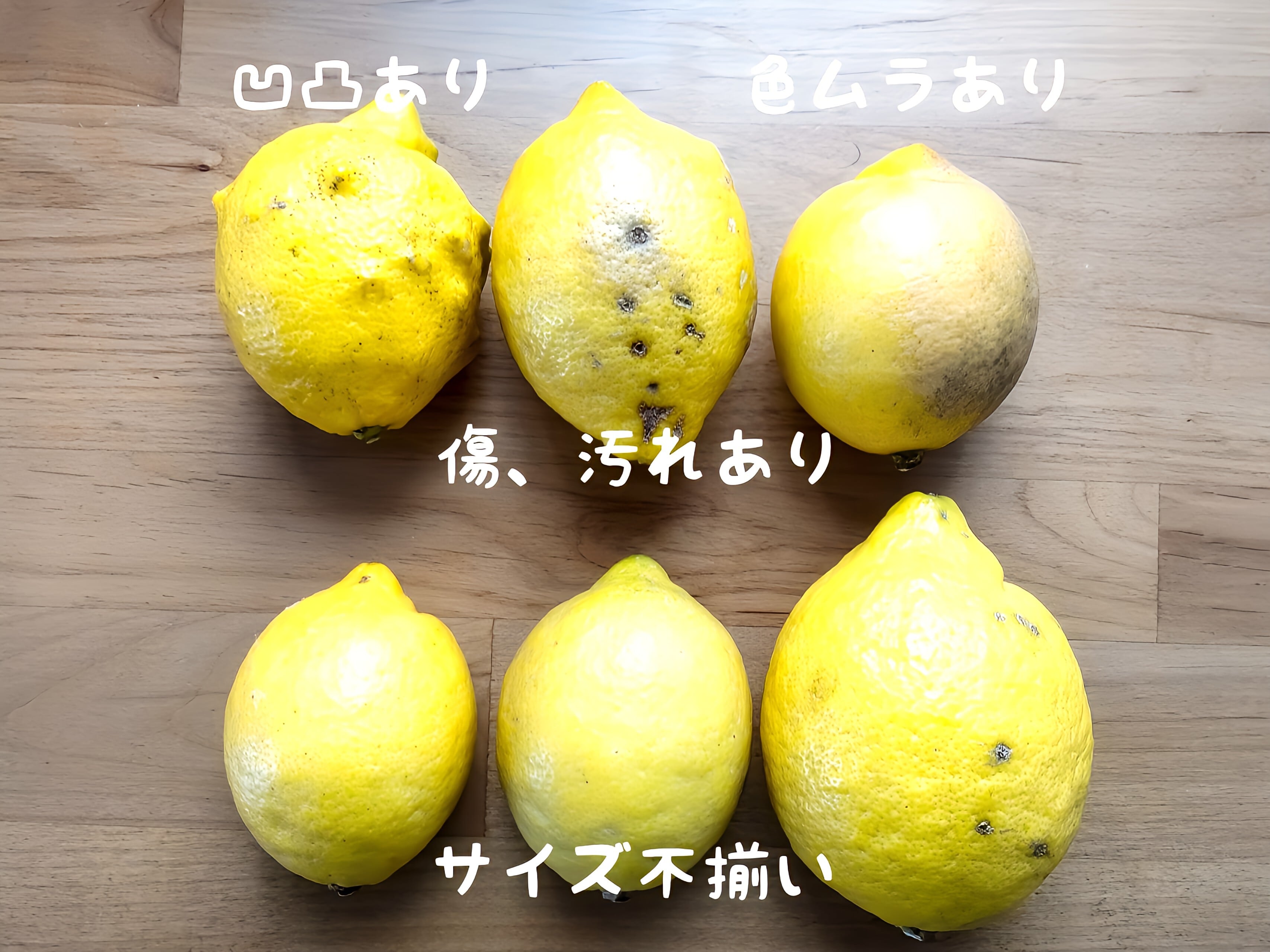 無農薬無肥料イエローレモン【ご家庭用】5kg | しまっこ農園