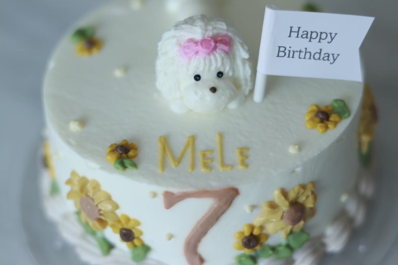 【冷凍発送】 3月季節のお任せケーキ