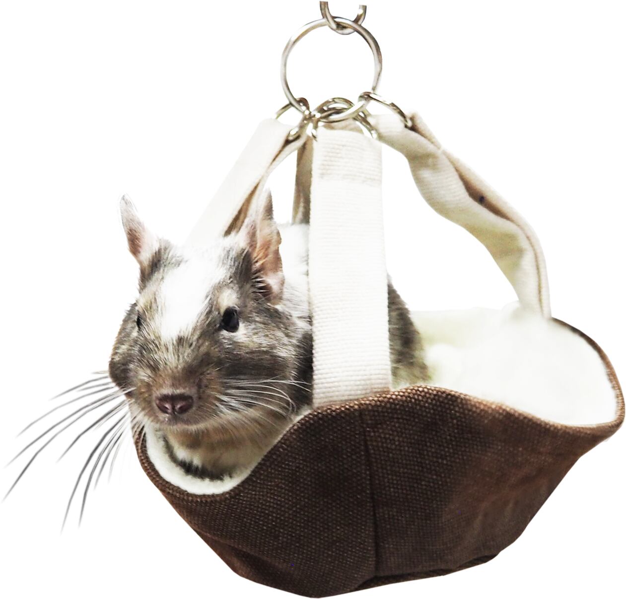 【小動物用品】みんなのちびタルト　ブルー/ブラウン