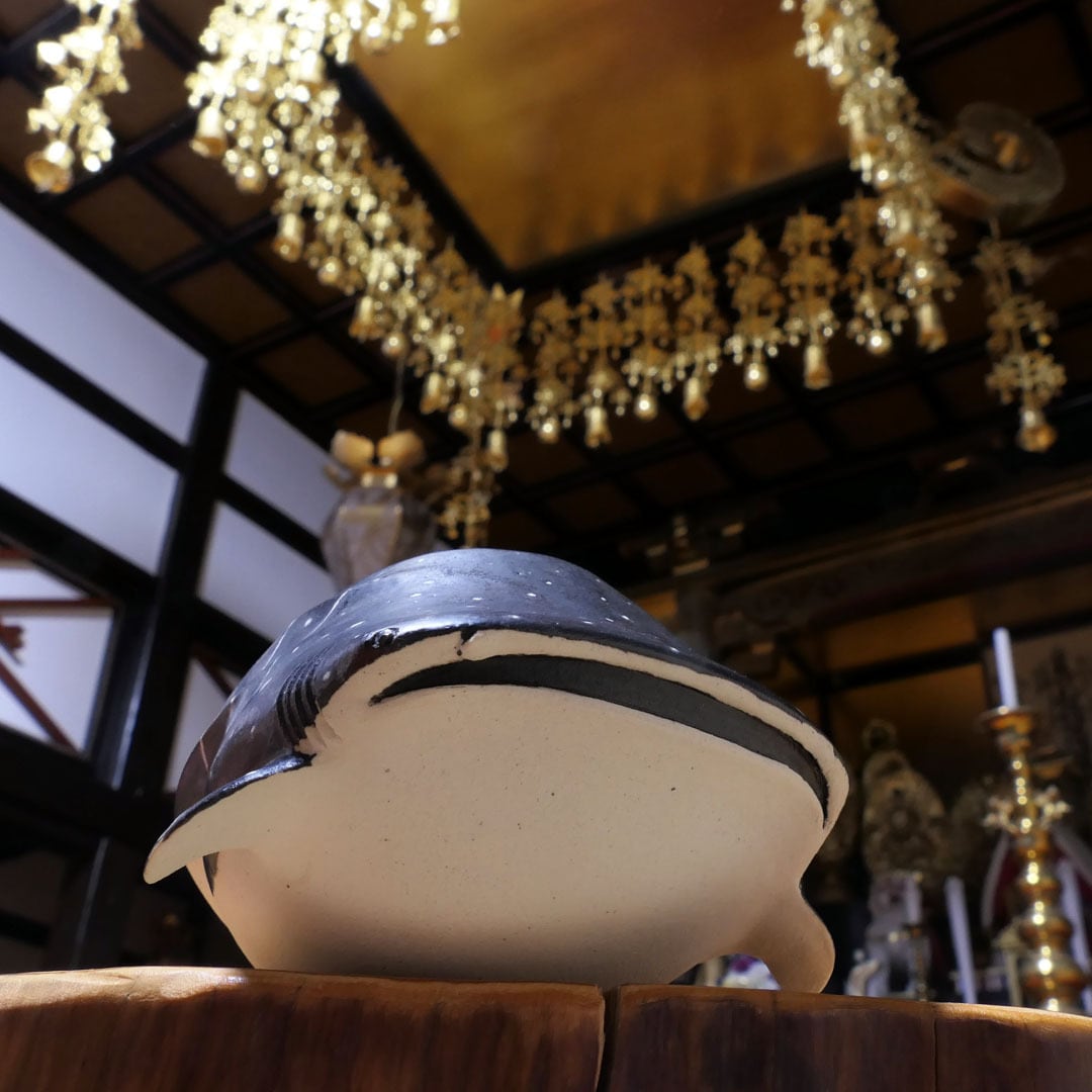 ALL ITEM | セラミミックonlinestore