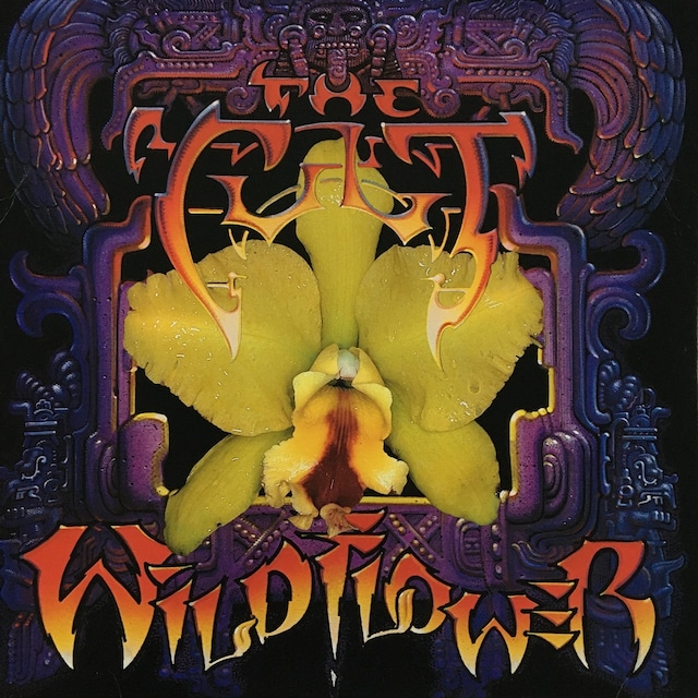 【12EP】The Cult – Wild Flower