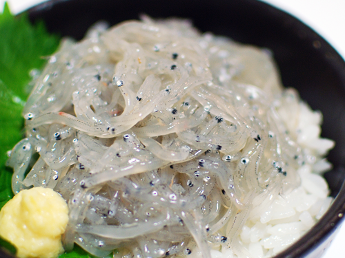 【食べ切りサイズ】駿河湾産生しらす 100g