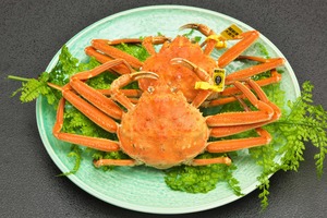 越前せいこがに　小　2杯セット　120g〜150g