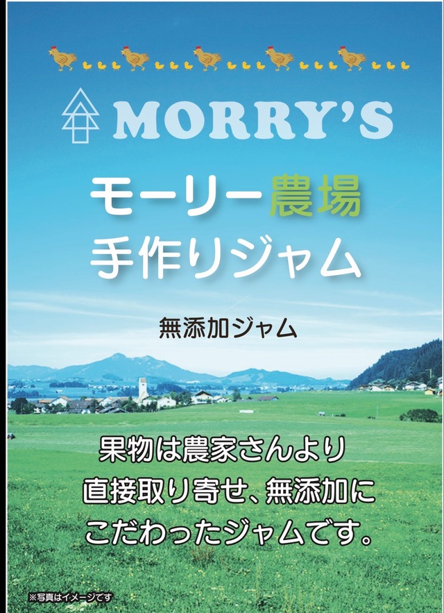 モーリー農場　ジャムセット4本入