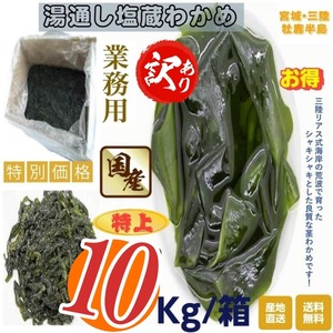 訳あり　宮城・三陸小渕浜産　特上　湯通し塩蔵わかめ　業務用：１０Kg /箱　産地直送　送料無料