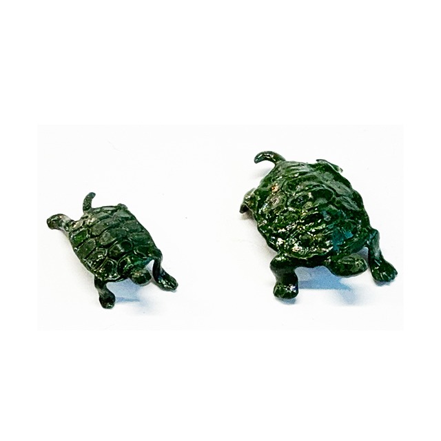 みどり亀 大　30×22ｍｍ（色付）