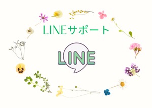 LINE公式アカウントサポート