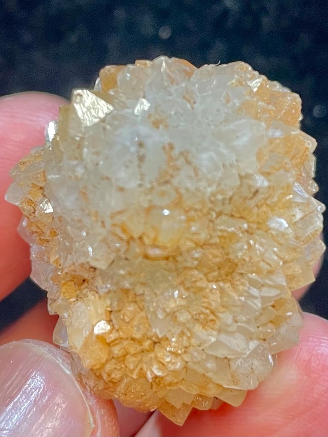 6) 超ボルテックス・パワー！「セドナ・レムリアン・カクタス」クオーツ(小型)