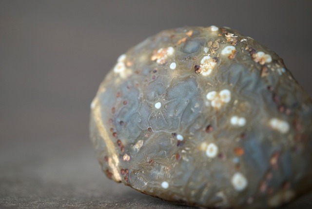 ゴビアゲート Gobi Agate 1125