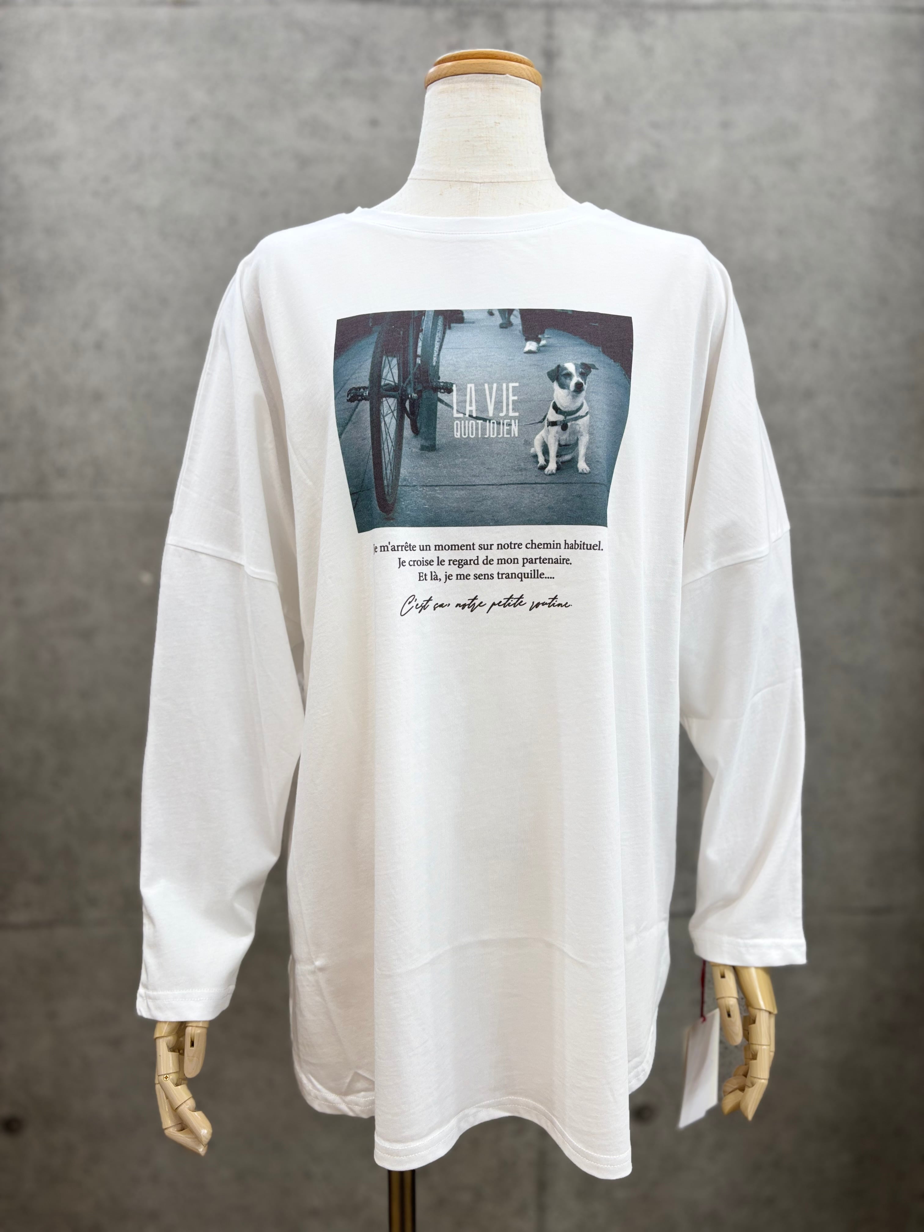 mon53様  専用  ディニテコリエ 白Tシャツナイベ 5/10(日)まで延長!20%OFF/送料無料】DigniteCollier(ディニテコリエ