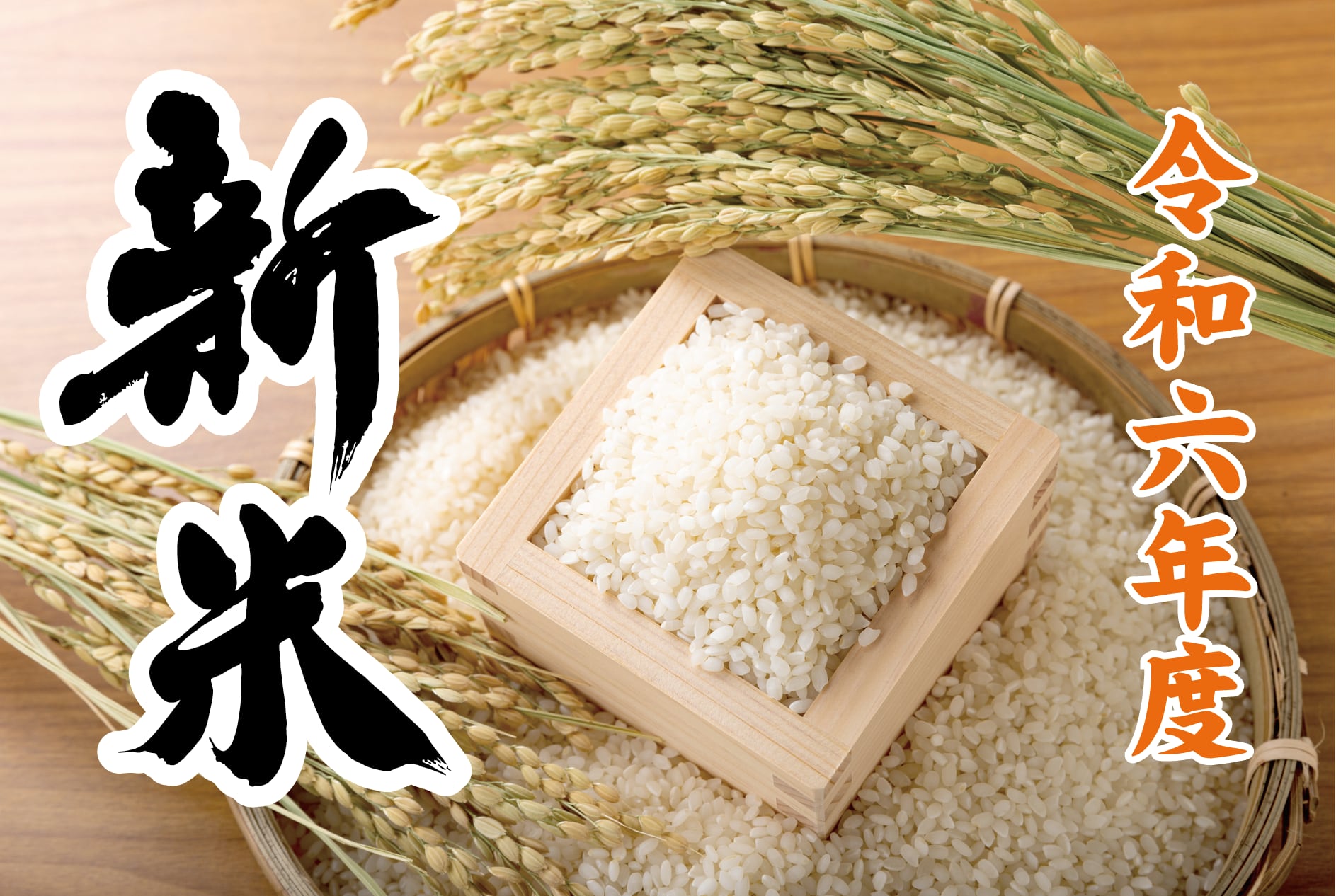 令和7年産 長野県 信州 上田市産 こしひかり 10kg×2袋 計20kg 精米