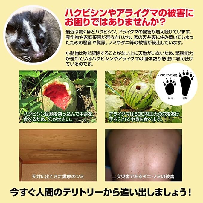 ハクビシンなぜ逃げるニュー改訂版 屋根裏・天井裏用の屋内タイプ50