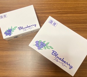贈答用ブルーベリー(1kg)　好評につき完売