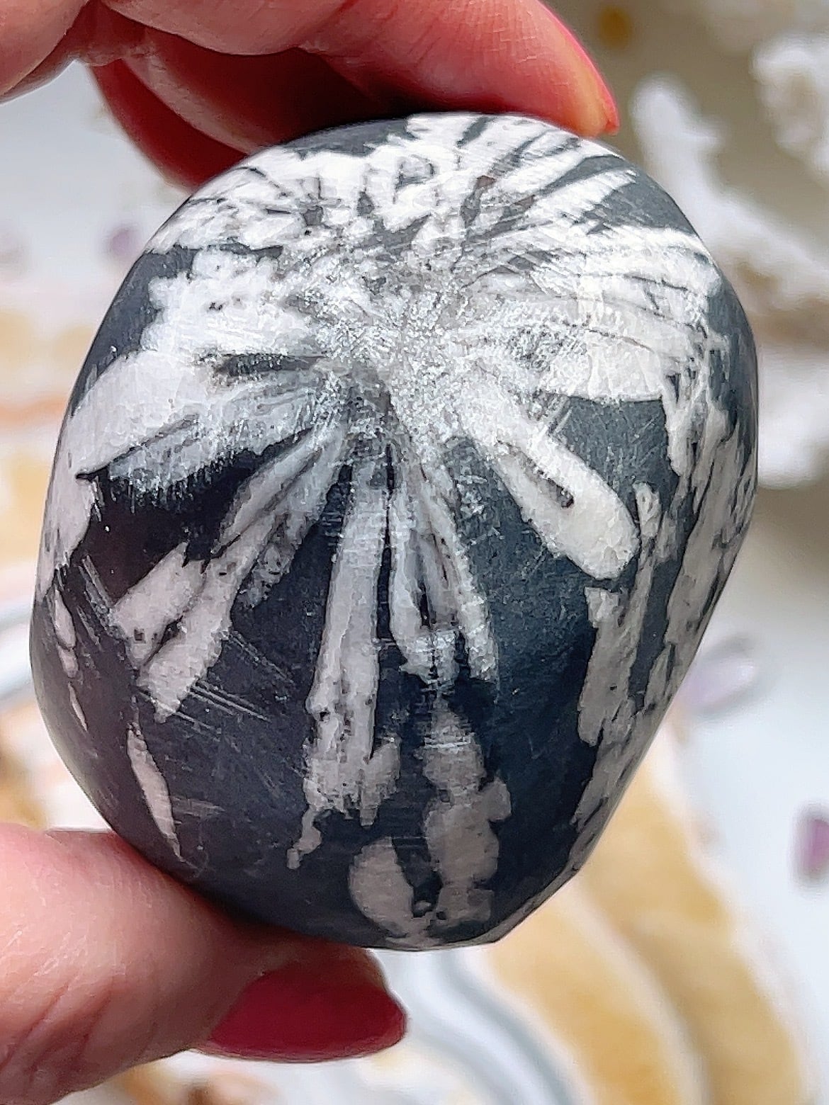 雪花石 ✿*:・スノーフレーク オブシディアン 黒曜石 原石 タンブル