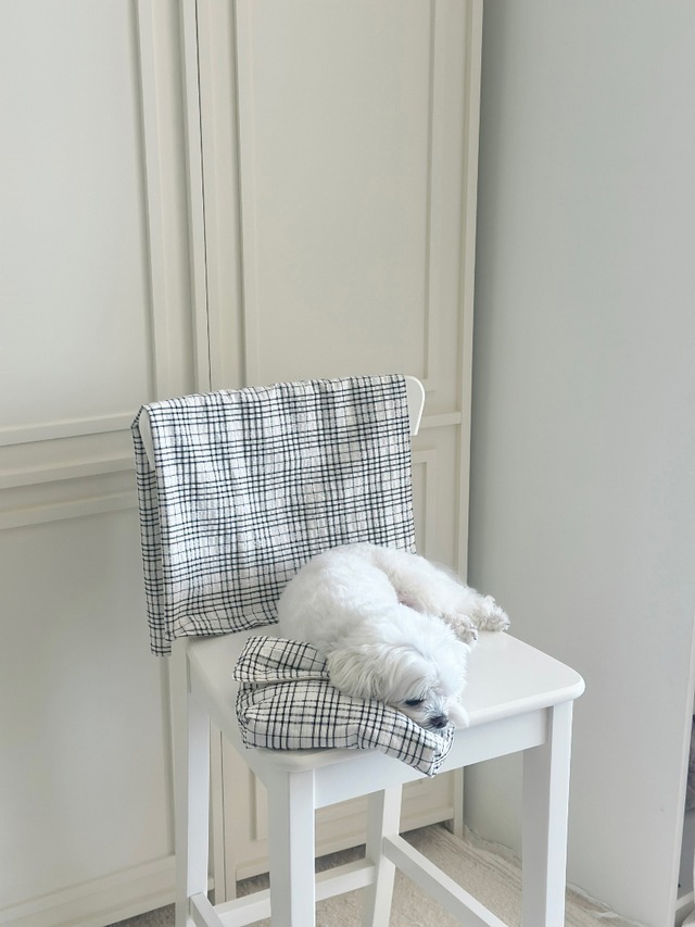 〈即納アイテム〉EYOU / ソフトデイズクールピロー- ブラックチェック