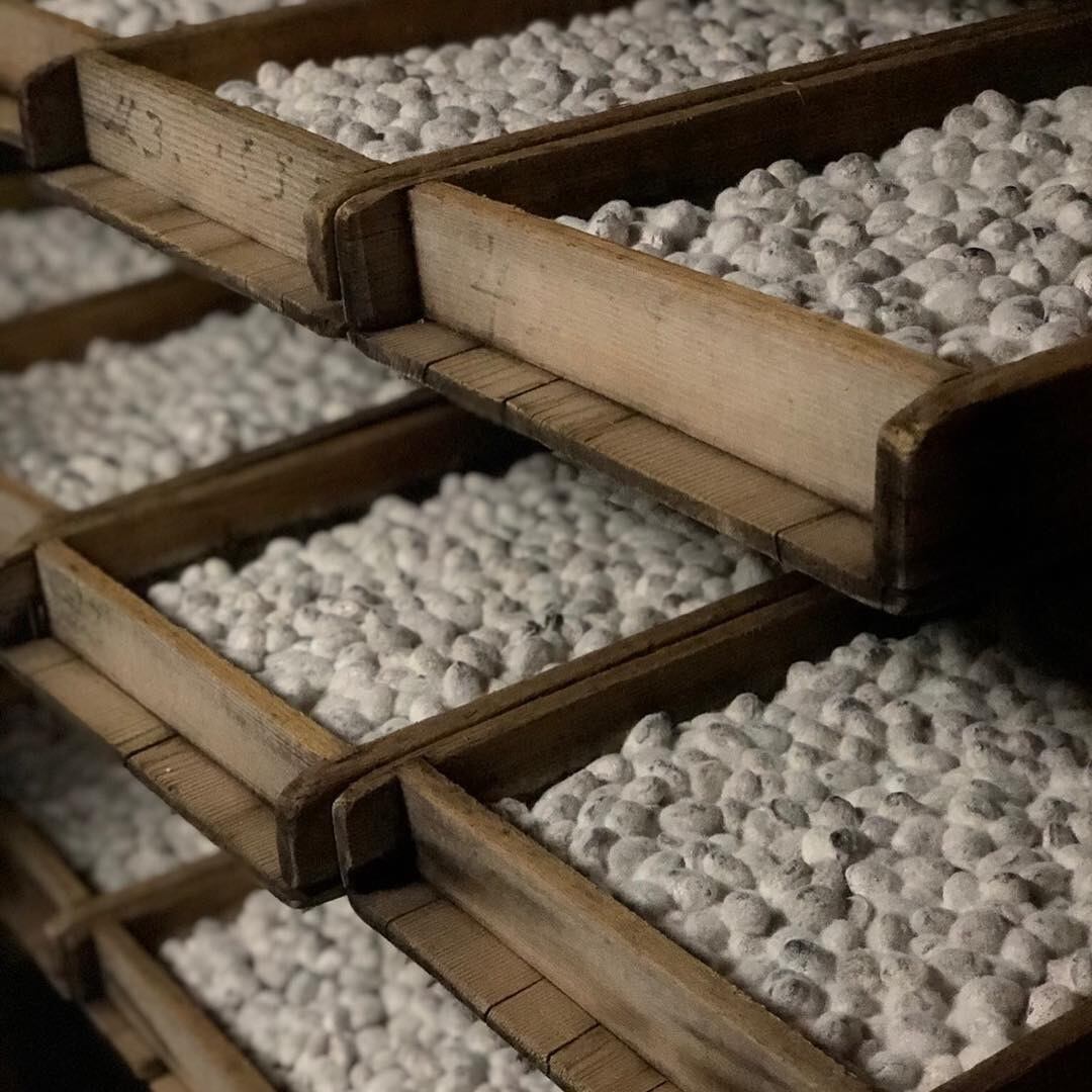 醤油豆 手造りセット (チルド便手数料込み、送料別途)