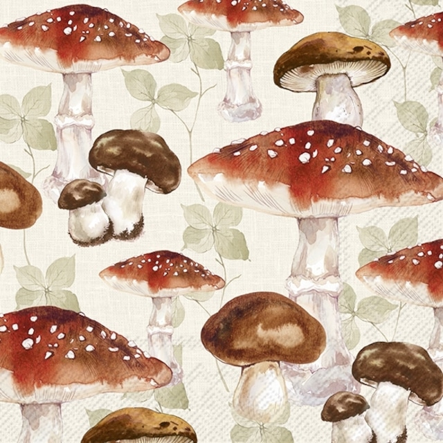 2023秋冬【IHR】バラ売り2枚 ランチサイズ ペーパーナプキン MUSHROOM ALLOVER クリーム