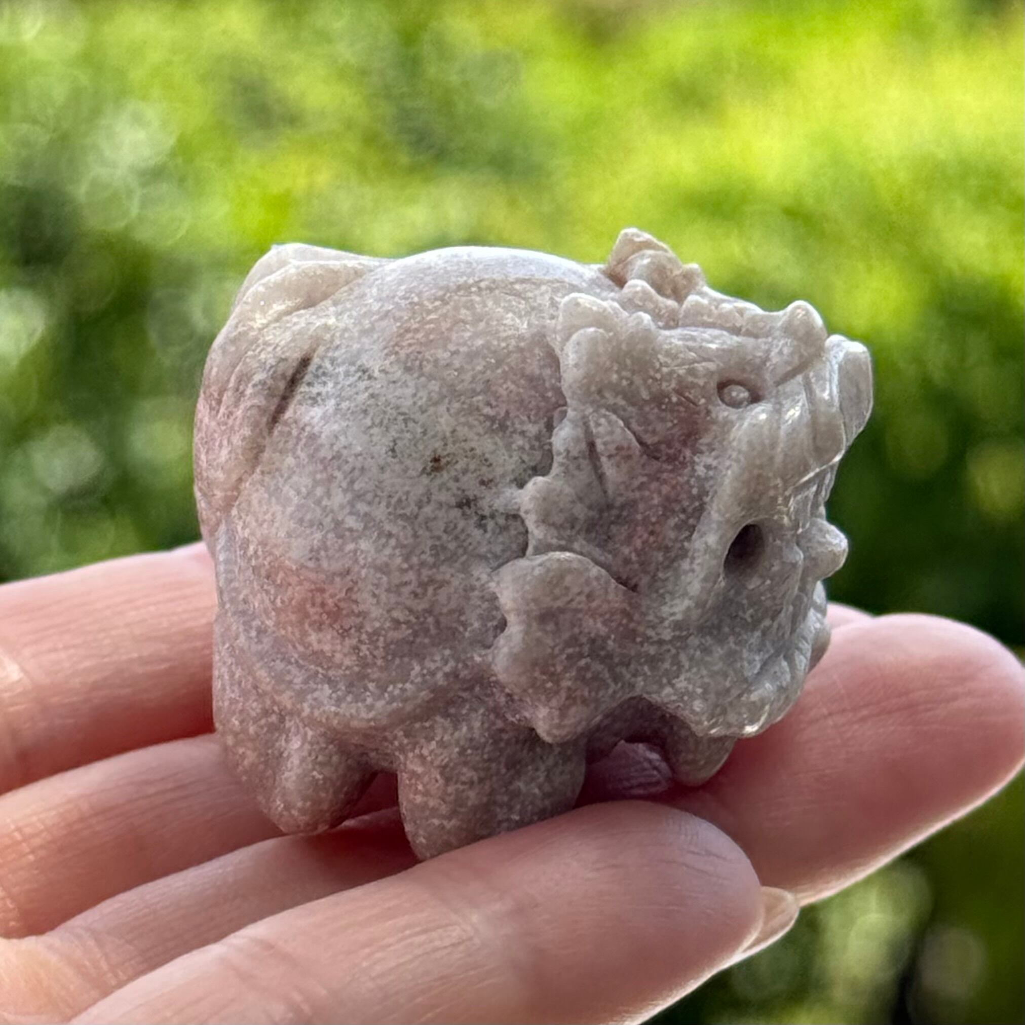 オーシャンジャスパー・ロングイ（龍亀） | Pay ID