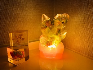 水中花ランプ　招き猫　薔薇のドライフラワー　ピンク