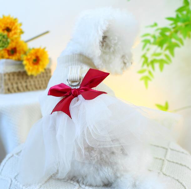 《予約》3101983 レッドリボンチュールワンピース