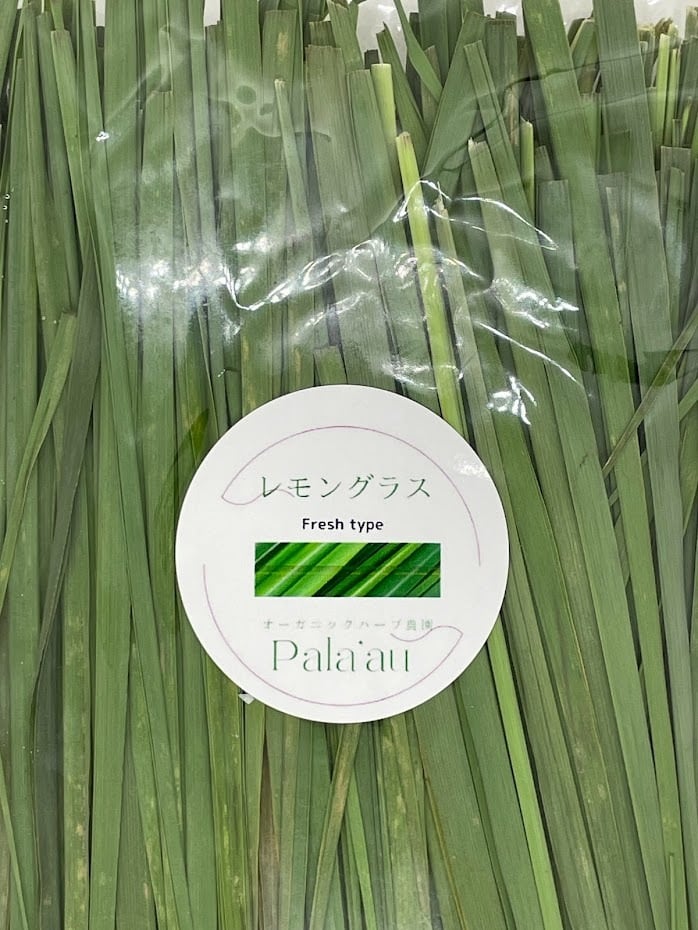 今シーズン最後！！予約販売 フレッシュレモングラス 300g | pala