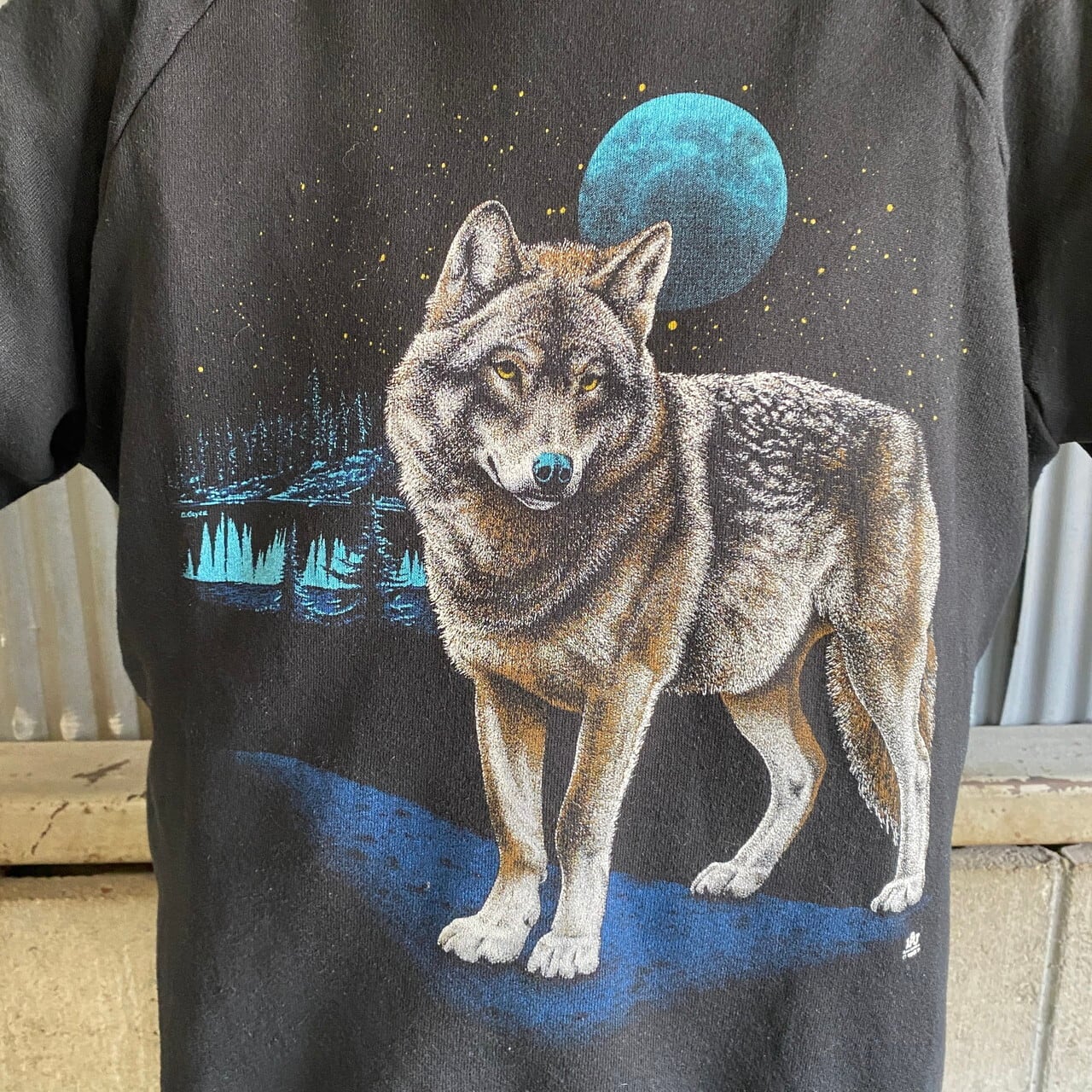 AMERICANOUTDOARS 古着 オオカミ キツネ スウェット - Tシャツ