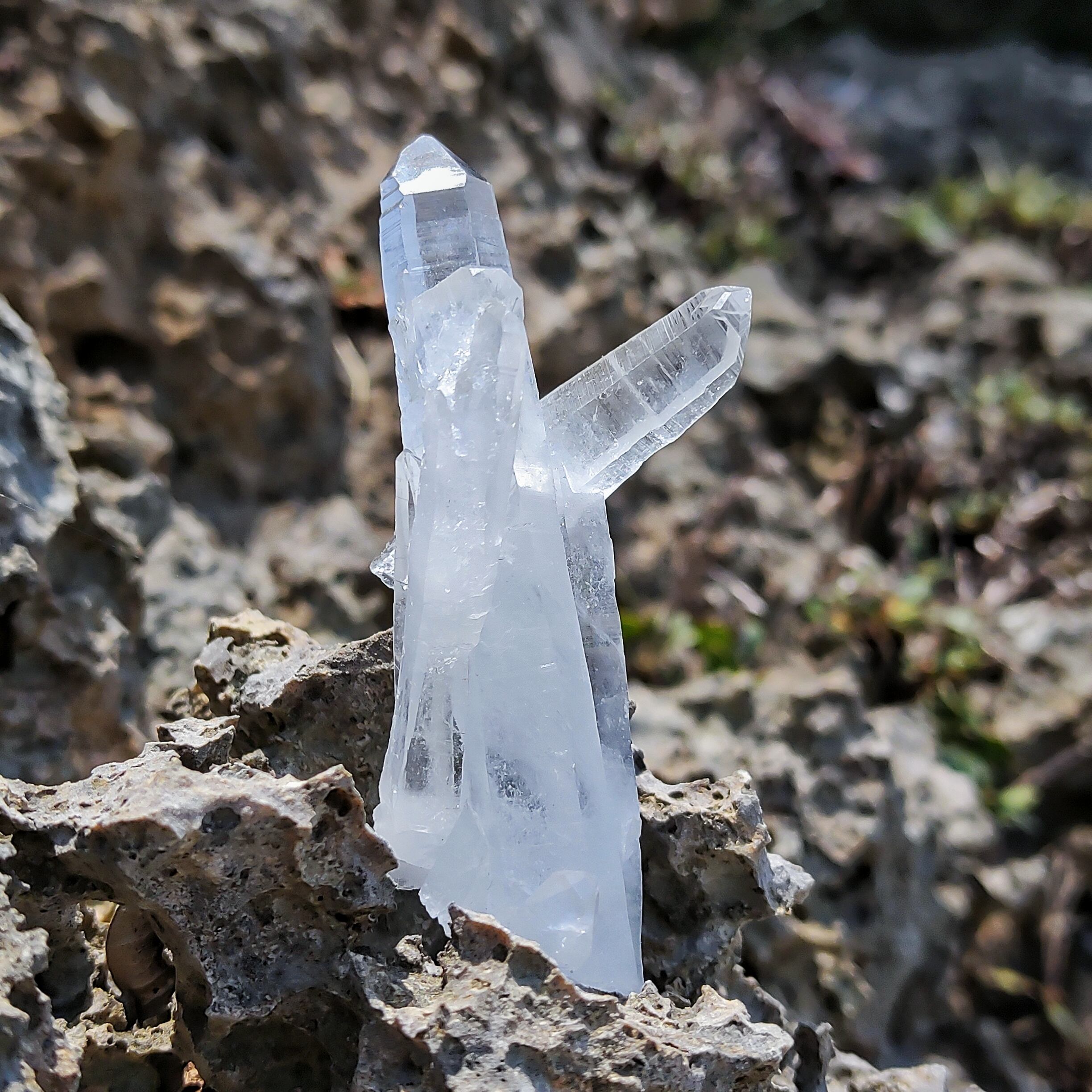 追加写真 ブラジル産 カテドラルクォーツ 水晶 原石 レムリアンシード