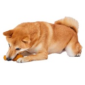 ペティオ (Petio) 犬用おもちゃ 犬雅 和菓子ラテックス 大きなたいやき