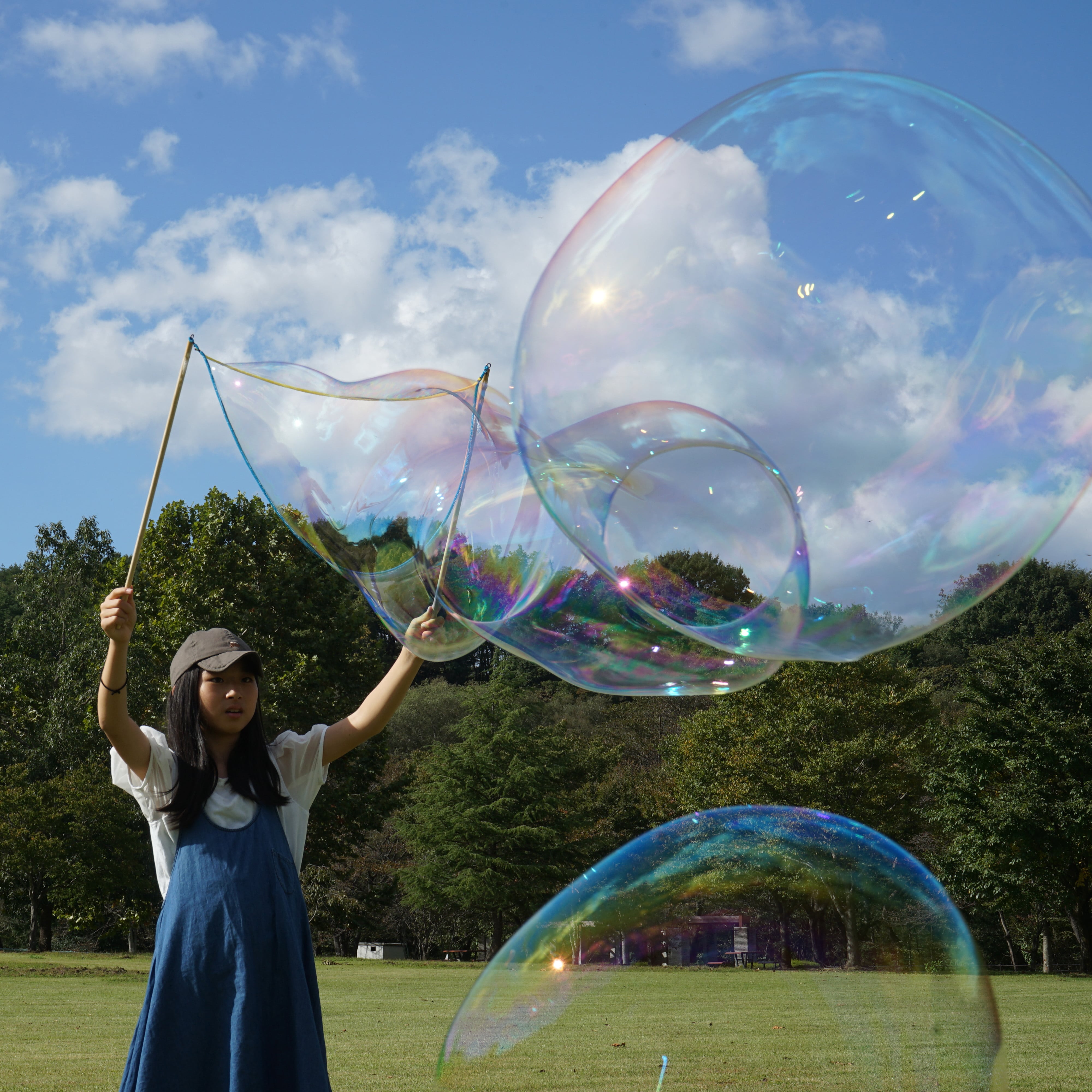 862c32b6856a25d48f3f542355a713