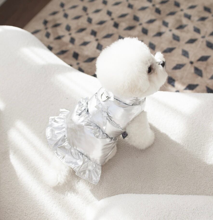 〖予約〗C0019 クルーダウン