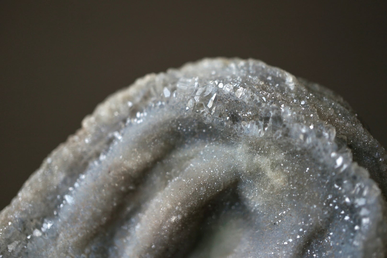 コンシャ・アゲート Concha Agate 1822 | 叙景 jokei