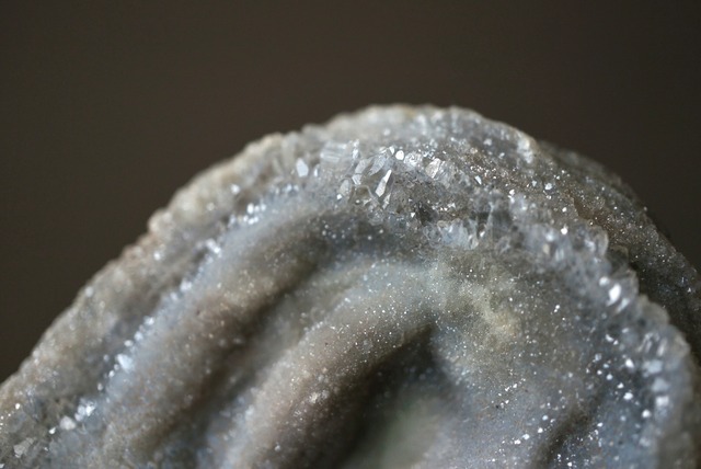 コンシャ・アゲート Concha Agate 1822