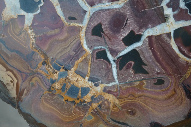 セプタリアン Septarian 1654