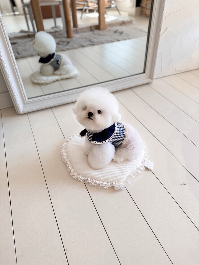 〈予約アイテム〉SICGGU / メゾンセーラークーリングハーネス