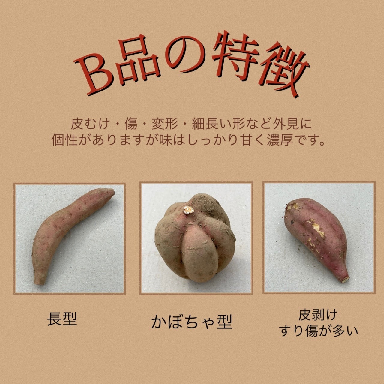 安納芋 B品（S〜M）3kg｜箱別・画像4