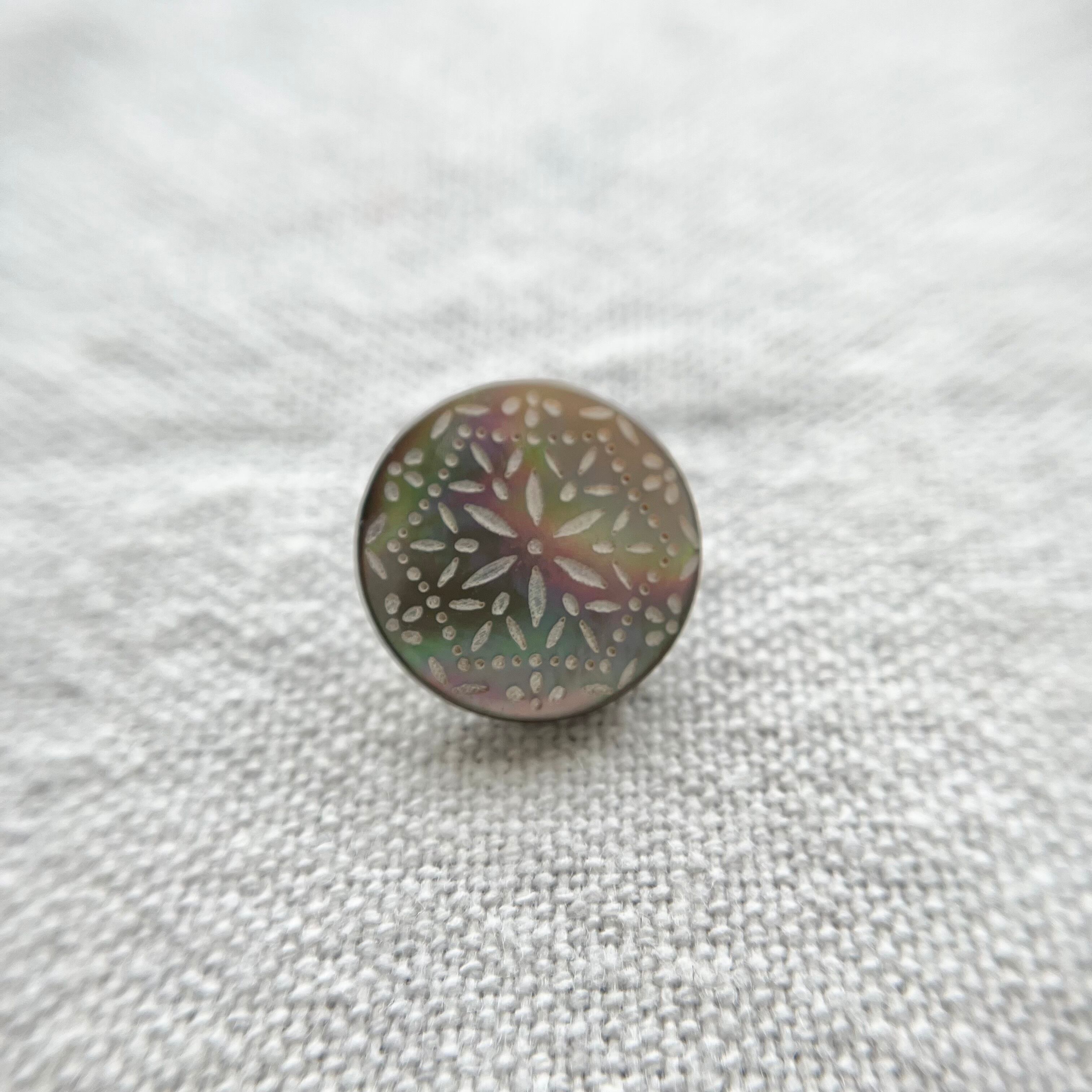 カッティングフラワー(茶蝶貝)15㎜