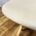 Herman Miller Eames Molded Plastic Side Shell Chair ハーマンミラー イームズ プラスチックサイドシェルチェア【中古】【200サイズ】