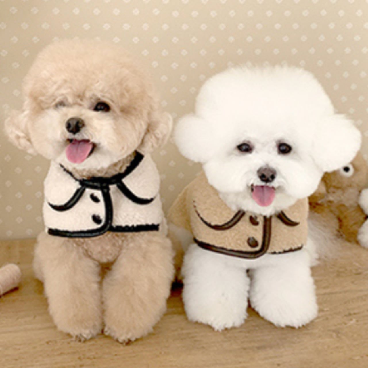 Dog ラムボア パイピングケープ 2color Pet35