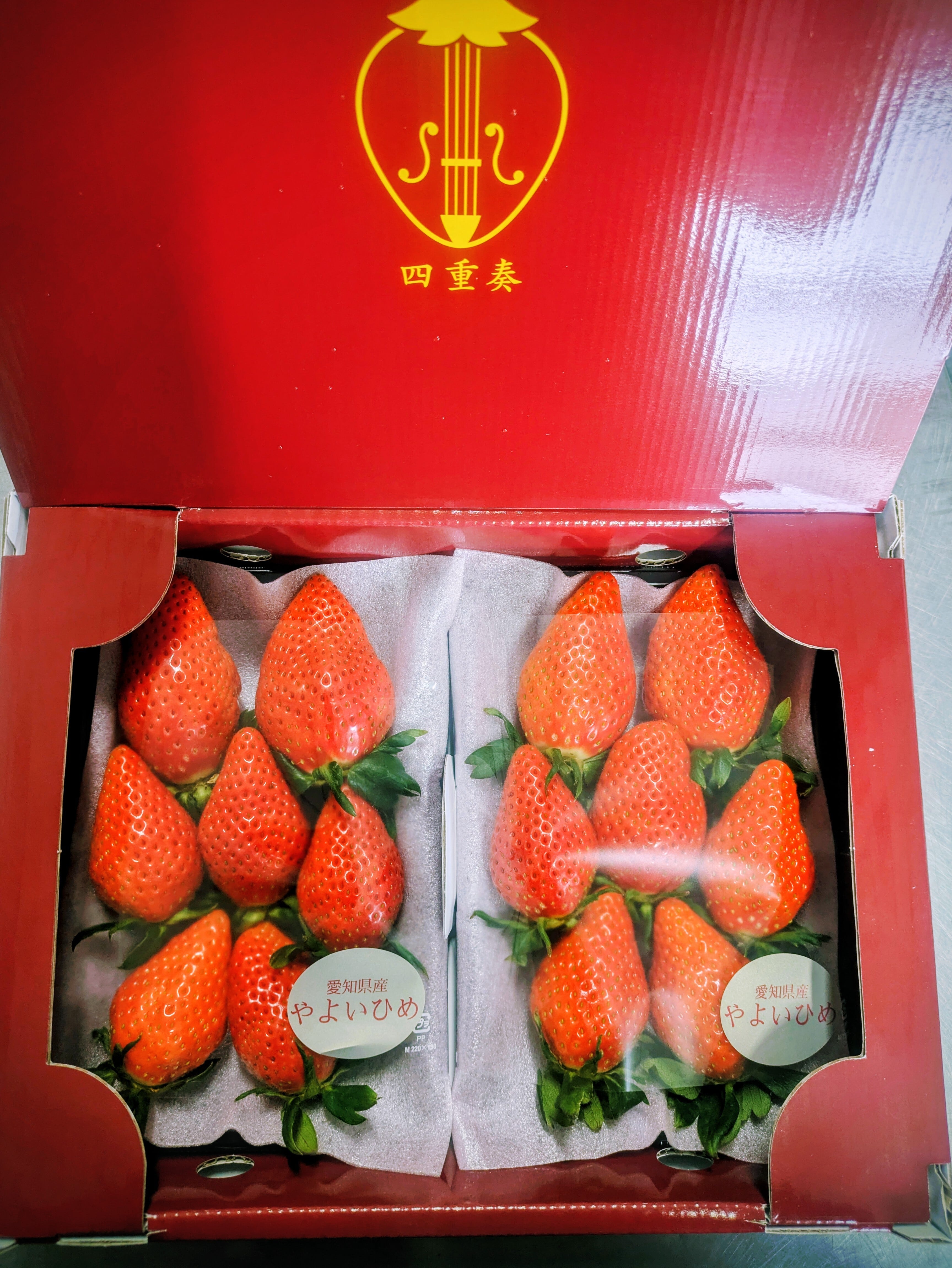 フレッシュ苺 | 完熟いちご よつぼし 専門農家 丸進ファームオンライン