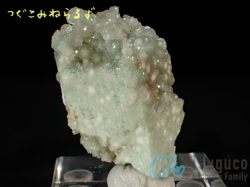 ボラサイト 方硼石 Boracite イギリス TM-0029