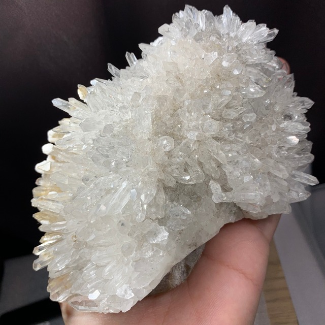 激レア！希少なダブルフェイスハリネズミ・水晶クラスター