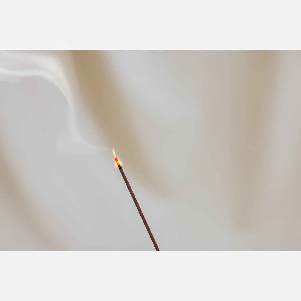 DREAMS（6種セット）