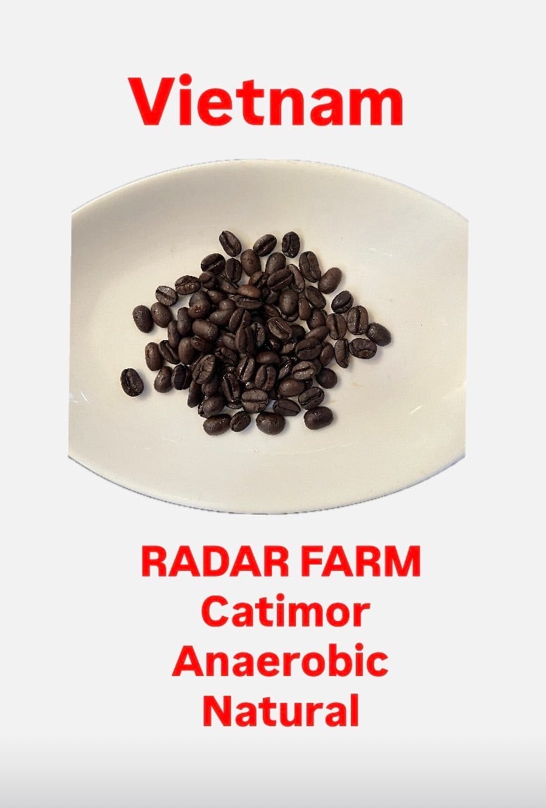 ベトナム RADAR FARM Dung（ユン）さんのアラビカ カティモール