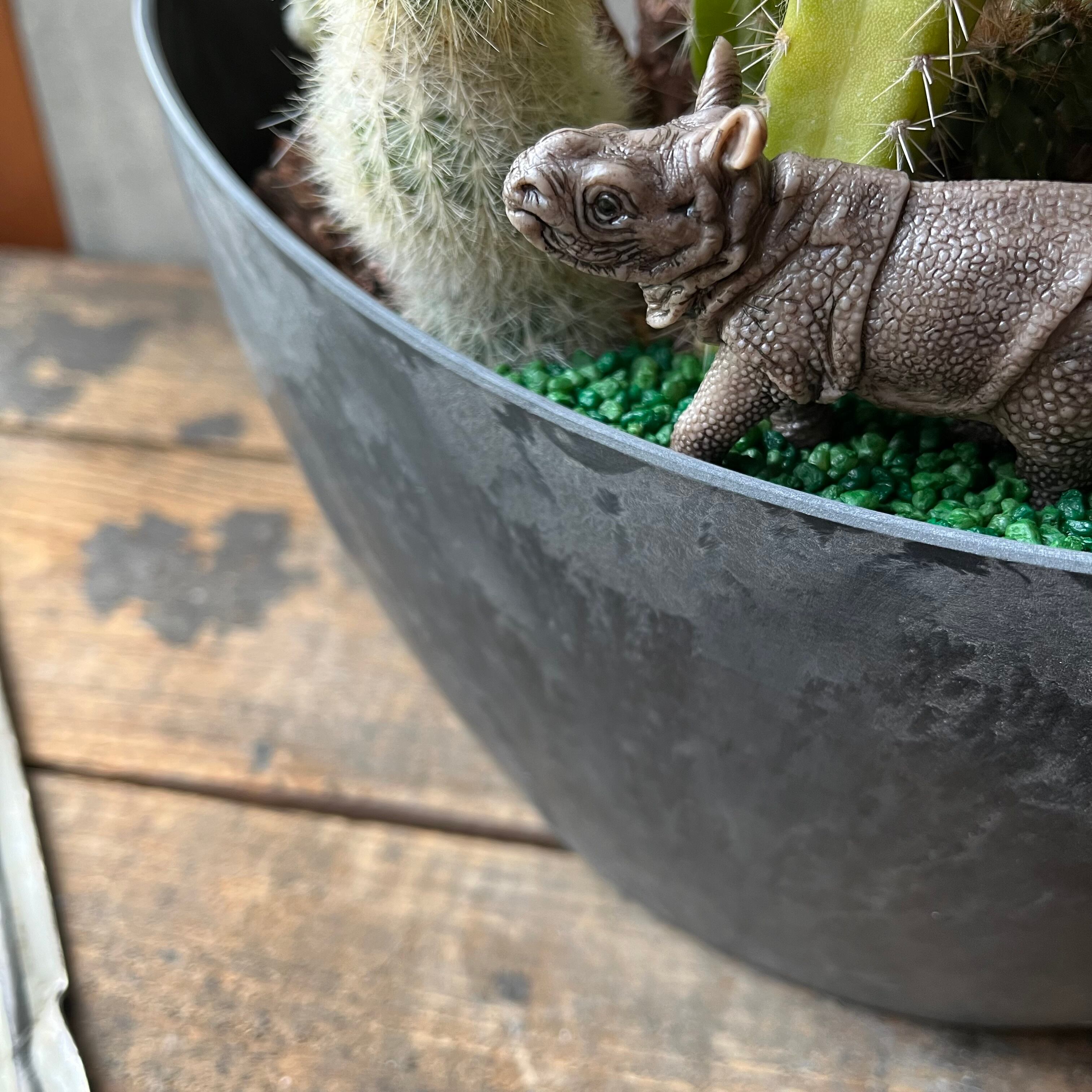 Rhinoceros Kids サイ | SABOTEN MISSILE